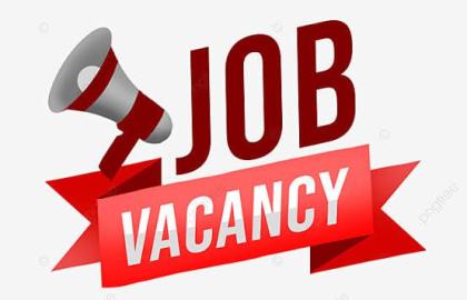 Job Vacancy: Bookkeeper